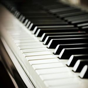 男女裸体做爰猛烈吃奶摸网站
