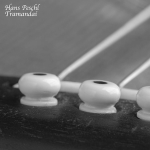 男女裸体做爰猛烈吃奶摸网站
